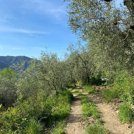 Holiday home Ca Panu Isolabona